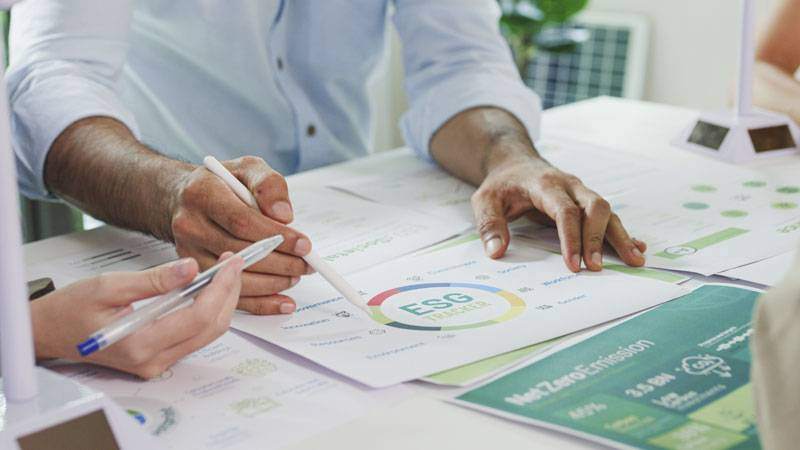 online-master-in-management-specialisation-sustainability